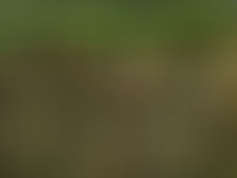 哀れなもの色々　9/7　50日目