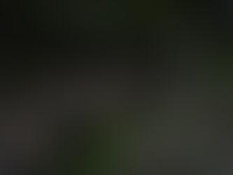 鵜飼鵜飼　8/13,14　133,134日目