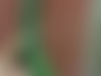 謎居留守 6/20 339日目