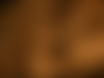 鳥取の砂丘以外 4/17 524日目