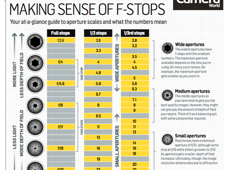 Basic Photography Terms for Beginners