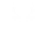 Evolute Design