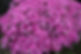 ADCAB437-35EF-4962-9324-000BE5EFEB3A.jpeg