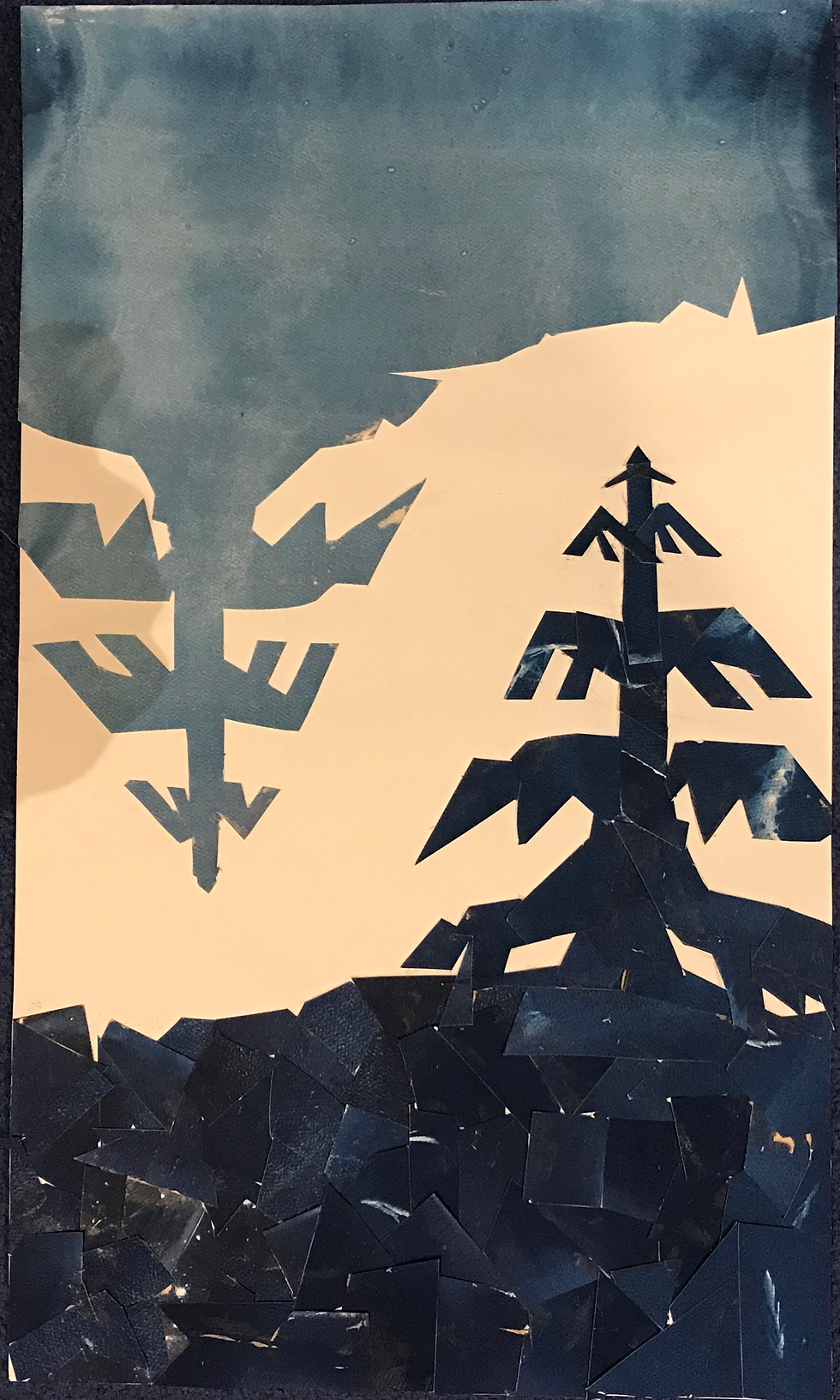 Sam Cyanotype Collage