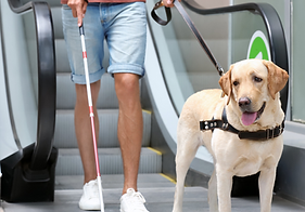 Untitled design (6).png