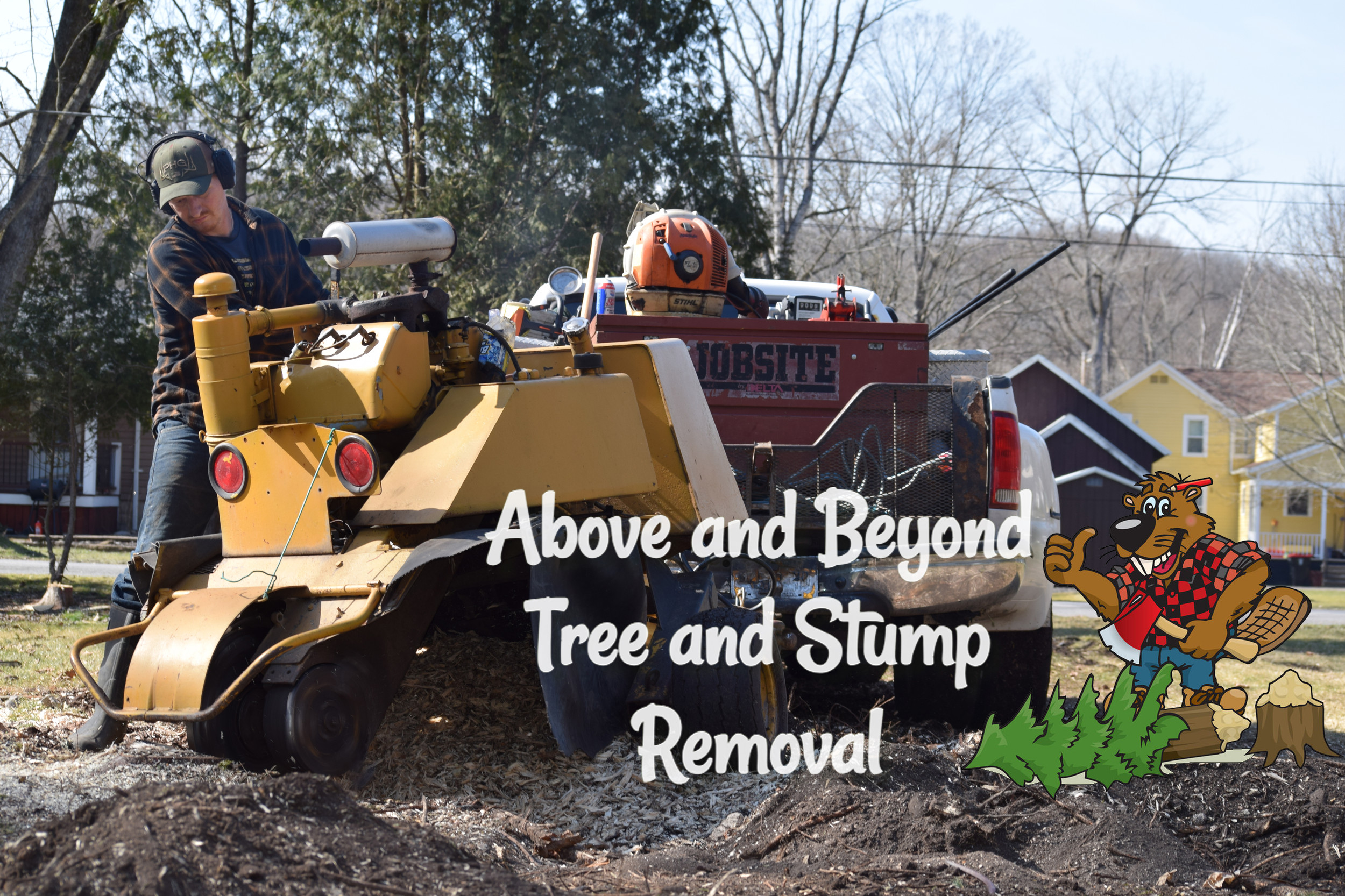 Stump Grinding | Above and Beyond Tree and Stump Removal