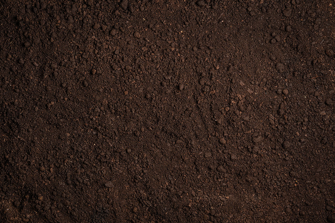 A close up view of fresh dark brown topsoil