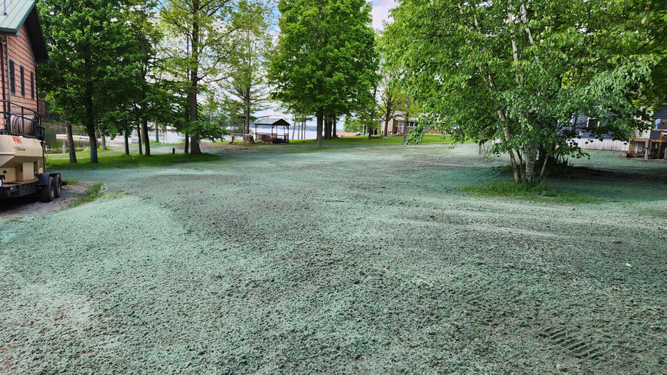 A large yard with a fresh coat of hydroseed