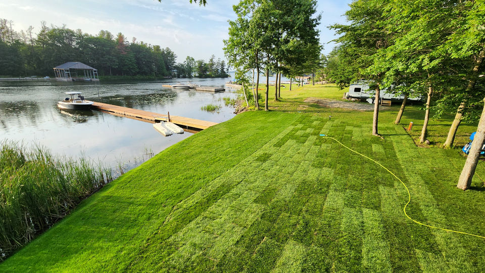 Freshly laid sod over on the grounds of a backyard next to a lake