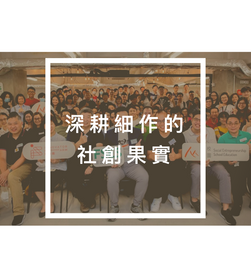 深耕細作的社創果實