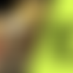 When 10 out of 10 is the worst result: The Bank of England gets it wrong on rates