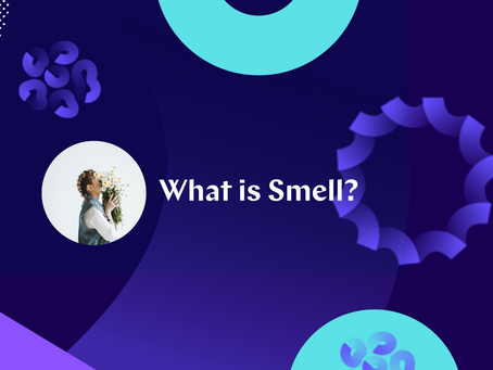 What is Smell?