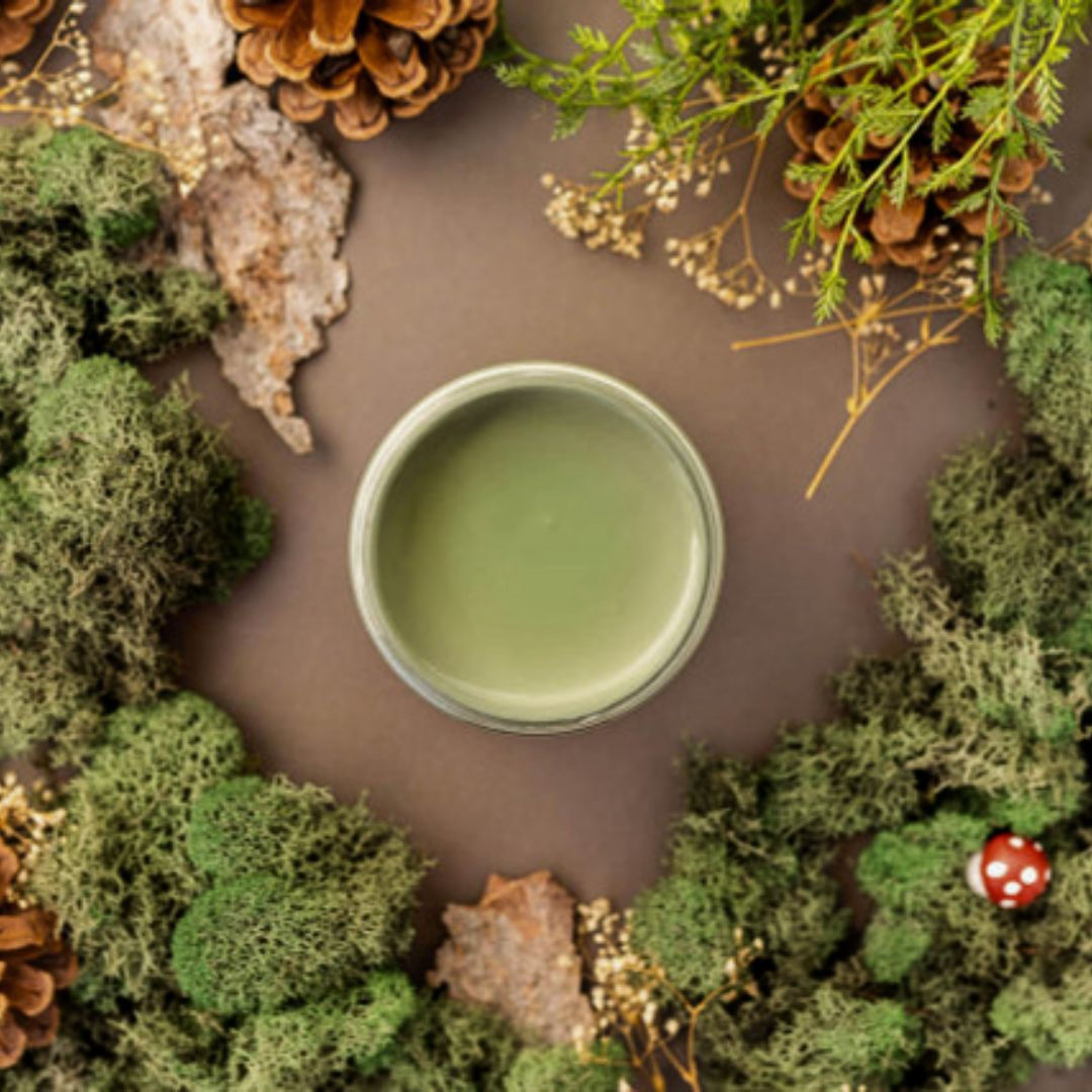 Weeping Willow | Dixie Belle Chalk Mineral Paint