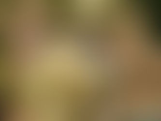 VARIETAL: Albariño(Alvarinho) - The Zesty, Salty White You Should Drink This Summer