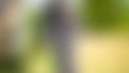 Barbera + Video Link!