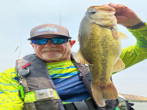 Expert Tips for Catching Bass in Different Seasons
