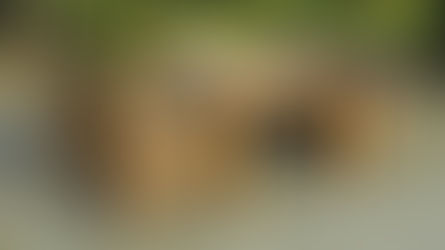 Transform Your Patio with these 2025 Furniture Trends