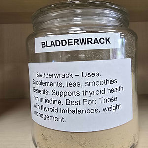 Bladderwrack