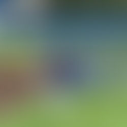 Pearl River High School Baseball Dream Season: 17 Game Winning Streak