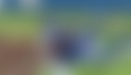 Pearl River High School Baseball Dream Season: 17 Game Winning Streak