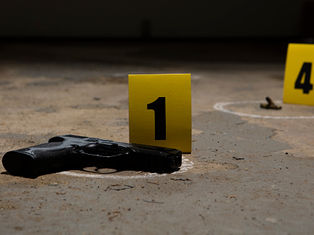 Shooting In Palmers Crossing in Hattiesburg