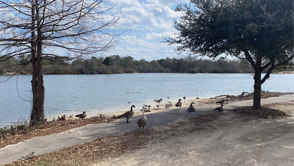 Tonight & Tomorrow's Weather