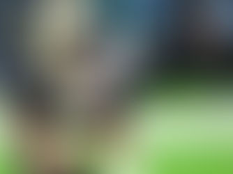 New Orleans Saints Loses Again