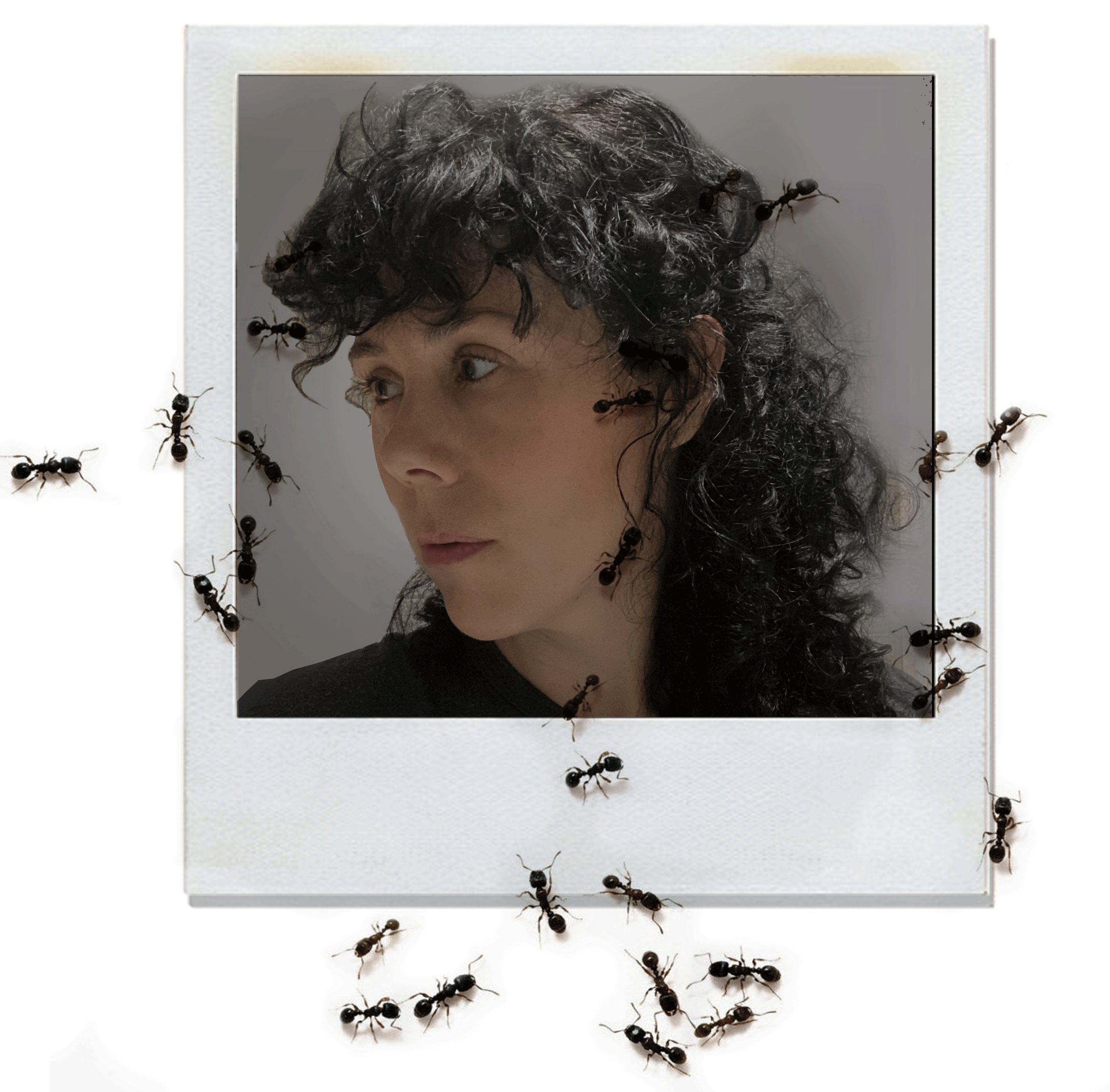polorid.gif