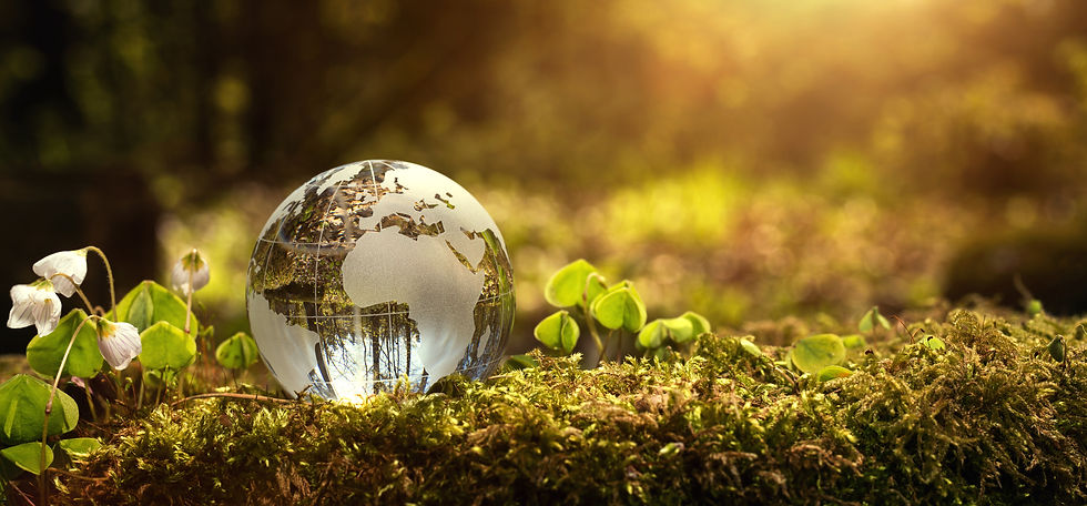 Globe surrounded with vegetation