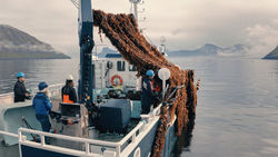 OCEAN RAINFOREST | Altjóða SeaMark ráðstevna í Føroyum
