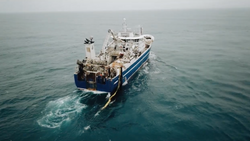 CENTREGO MARINE | Innovation of ECA-water generators