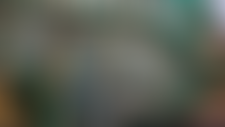 MEININGAR | Heimaflotin á einum vegamóti