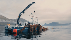 OCEAN RAINFOREST | Við á Seagriculture Conference
