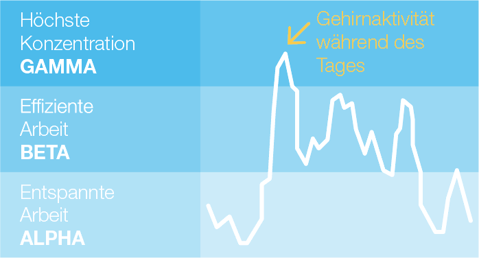 Gehirnaktivität NeuroStates