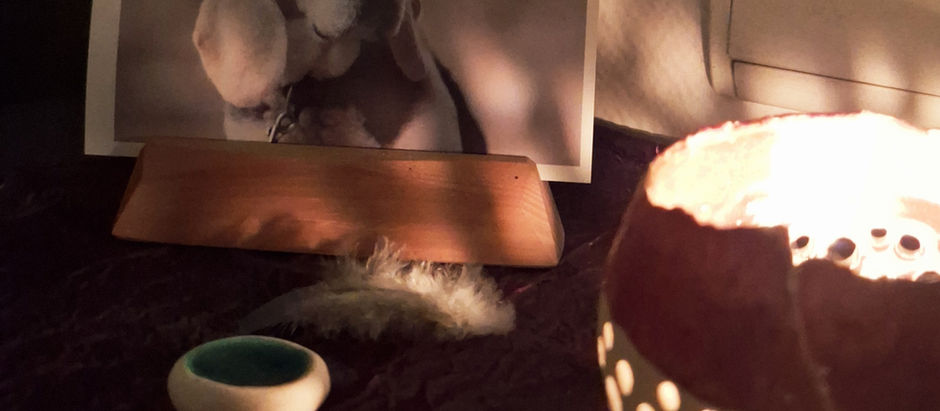 Deuil animalier : écrire son histoire