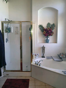bathroom remodel before.jpg