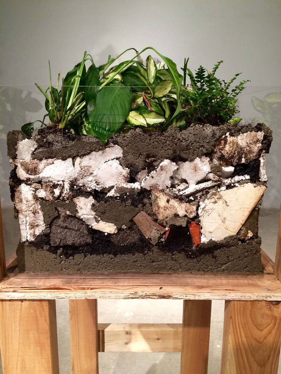 lottes_anna_remains_02