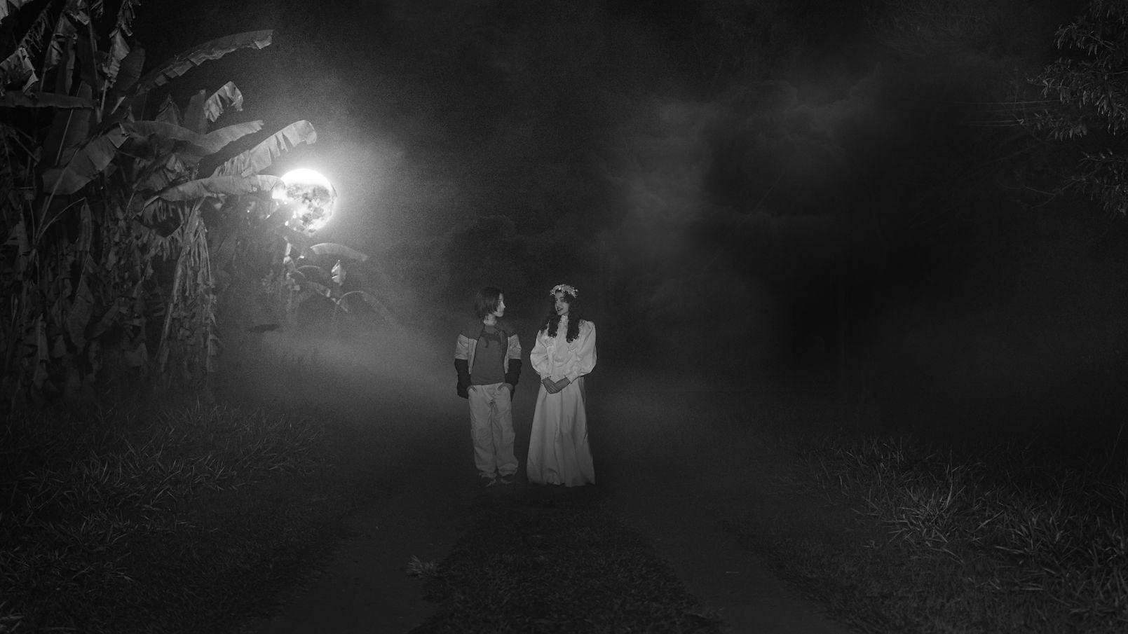 VNCF - Divulgação (9).jpg