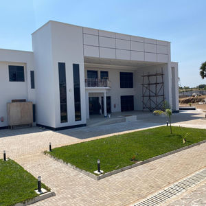 Professional Consulting Services