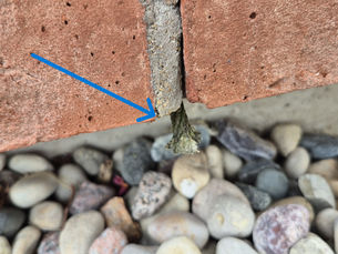 a rope wick weep extending from the mortar joint at the base of a brick veneer wall.