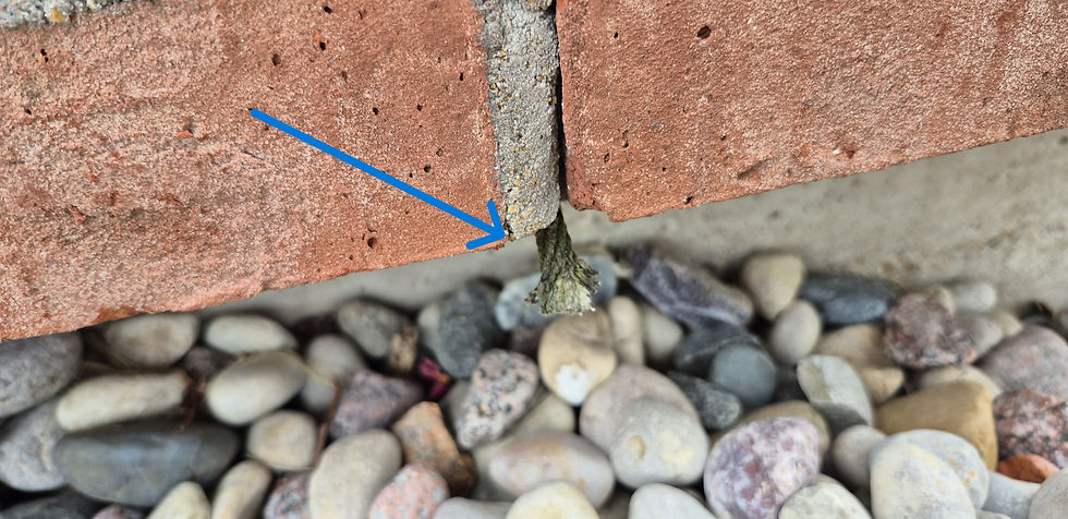 Photo: a rope wick weep extending from the mortar joint at the base of a brick veneer wall.