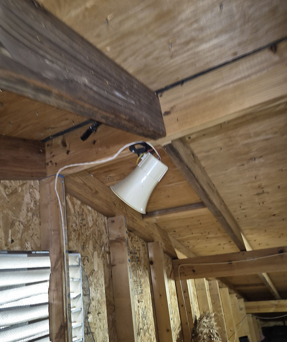 Field photo of the gable vent to ridge vent relationship during the inspection.