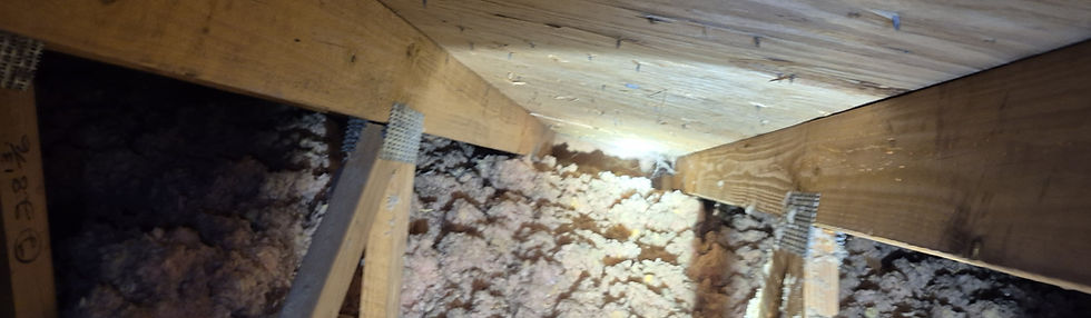 Field Photo: Blocked Soffit Vents. The soffit vents were blocked with insulation, because no baffles were installed. This is a very common finding during home inspections.