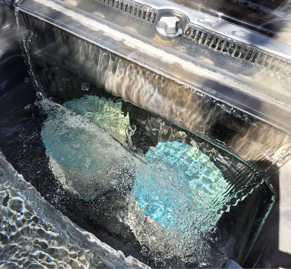 Picture of Hot Tub Filters that require maintenance.