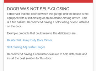 Home Inspector or Home Consultant?