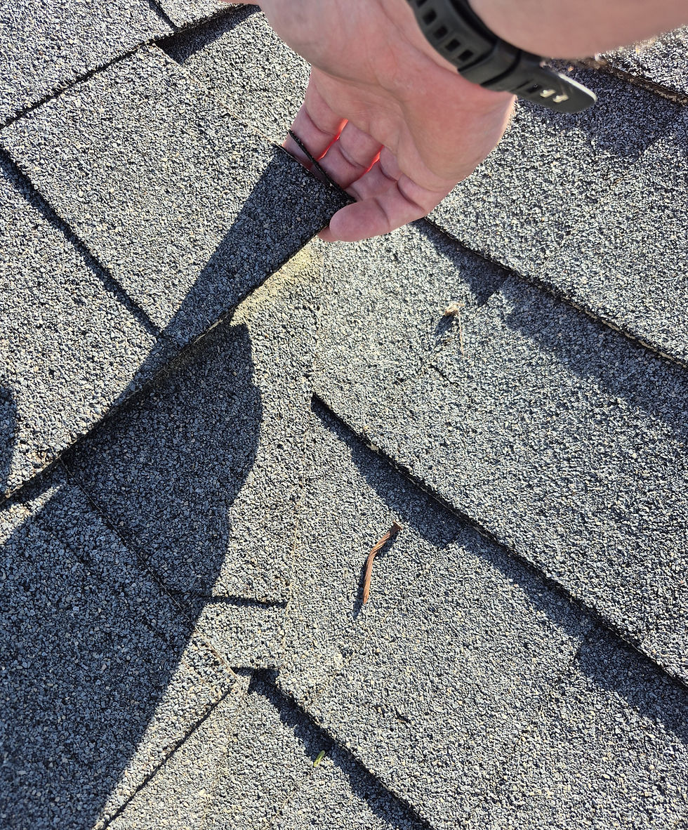 Photo: A Loose shingle on a reported 10 year old roof