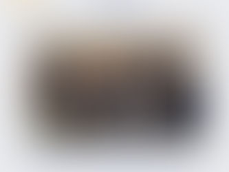 Executiva do SINDESP-PR participa do 37ª GEASSEG