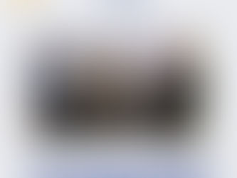 SINDESP-PR participa de Feira Internacional de Segurança Integrada