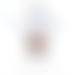 Encargos em terceirização de forma contínua e ostensiva