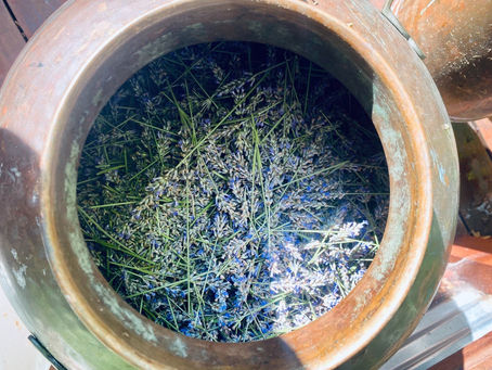 copper still with lavender 